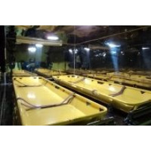 Бокс для перевозки тел умерших для установки на автомобиль (2 места)